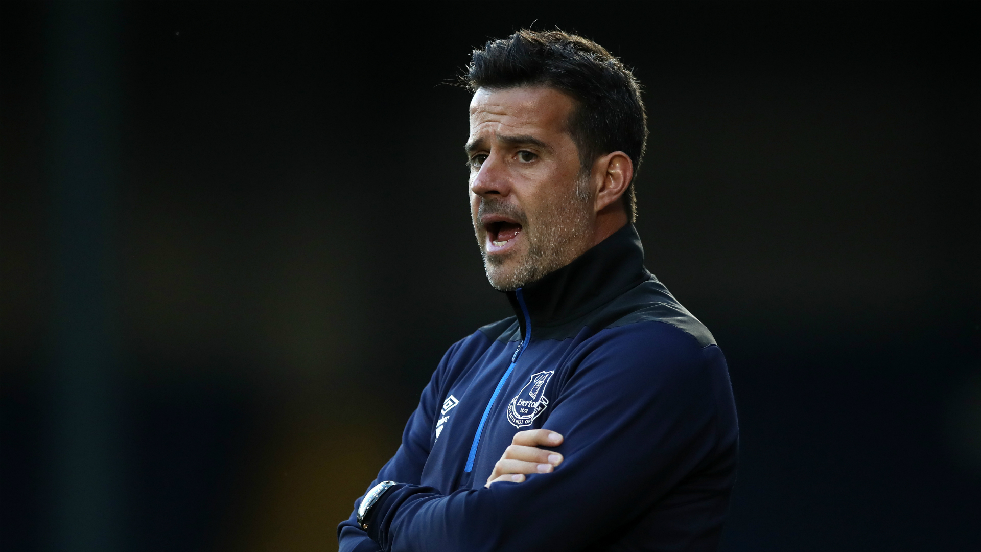 楓香樹多以 楓香樹多以